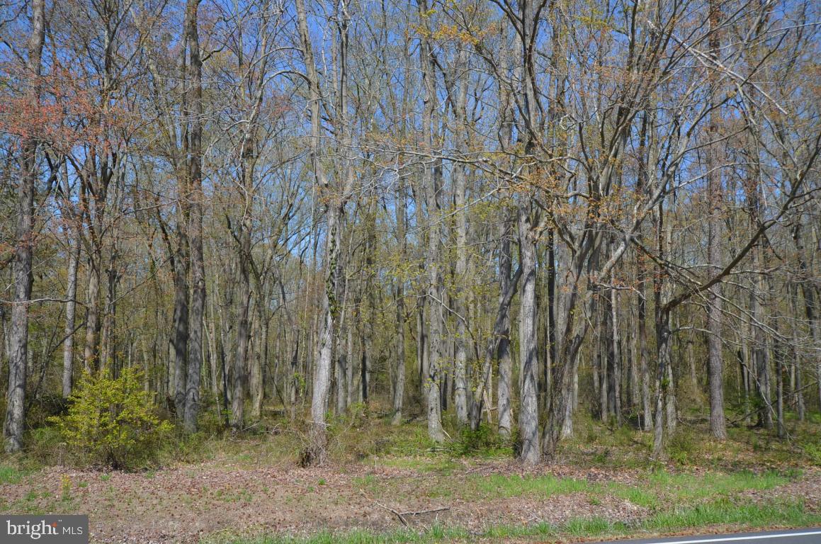 1849 Cedar Hall Road Pocomoke City, MD 21851 - Photo 36 of 56 Gallery Image 36