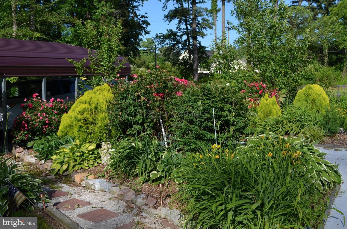 1849 Cedar Hall Road Pocomoke City, MD 21851 - Photo 39 of 56 Gallery Image 39