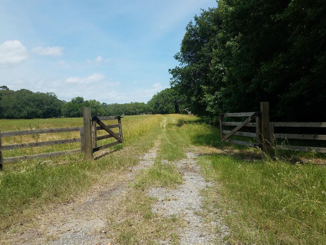 0 Eddy Farm Road Meggett, SC 29449 - Photo 2 of 29 Welcome home
