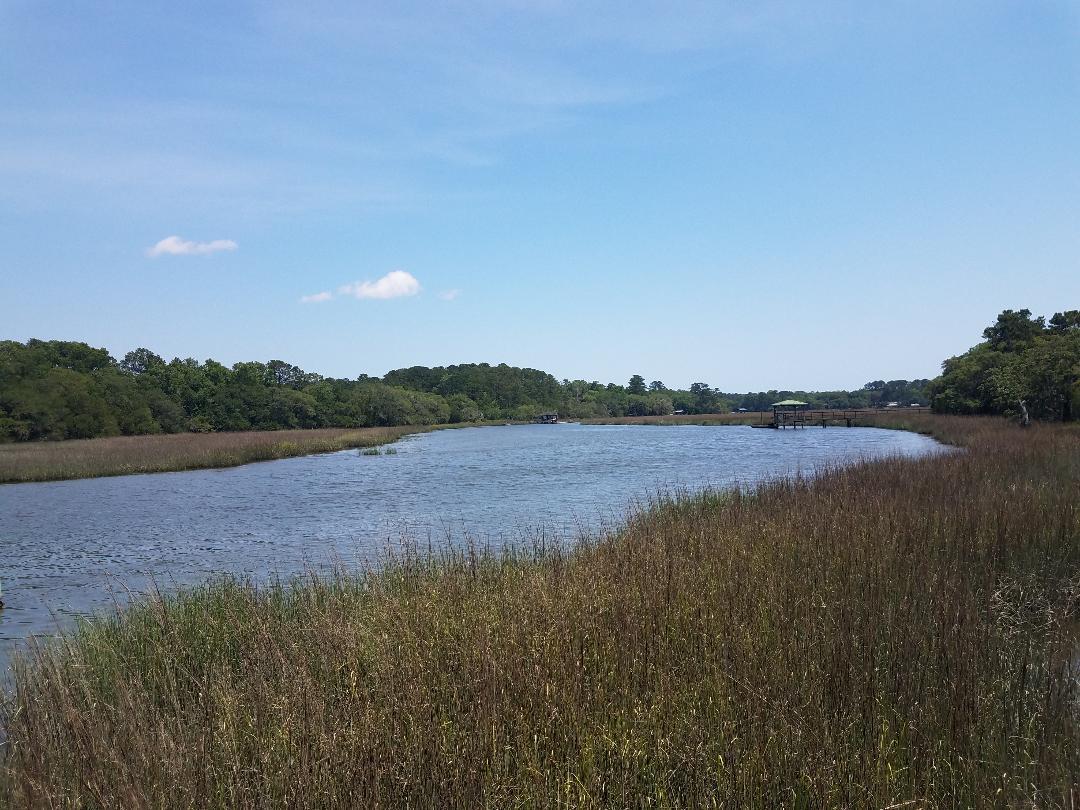 0 Eddy Farm Road Meggett, SC 29449 - Photo 11 of 29 Swinton Creek