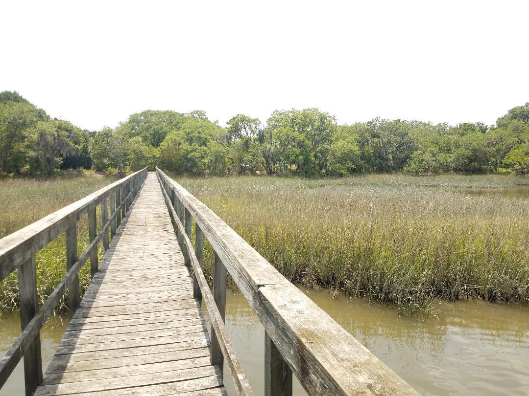 0 Eddy Farm Road Meggett, SC 29449 - Photo 12 of 29 view looking back to property