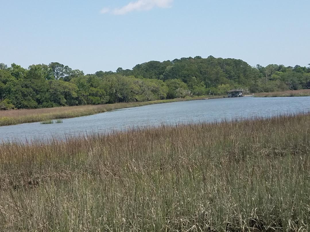 0 Eddy Farm Road Meggett, SC 29449 - Photo 14 of 29 Be in the ICW by boat in 10 minutes
