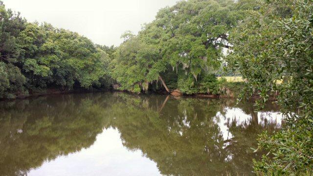0 Eddy Farm Road Meggett, SC 29449 - Photo 16 of 29 Large pond