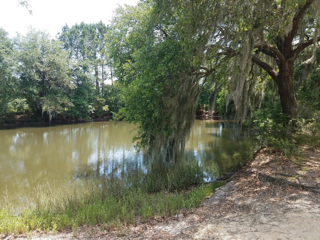 0 Eddy Farm Road Meggett, SC 29449 - Photo 18 of 29 Fish in your private pond