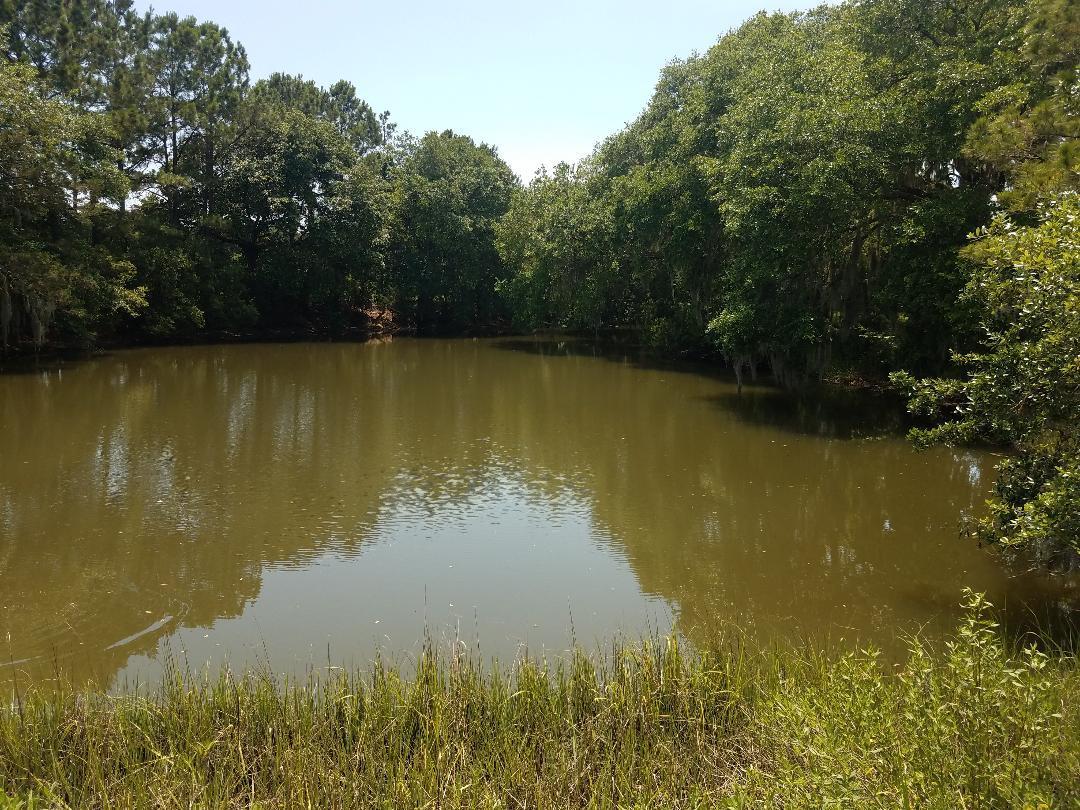 0 Eddy Farm Road Meggett, SC 29449 - Photo 19 of 29 Catch your dinner