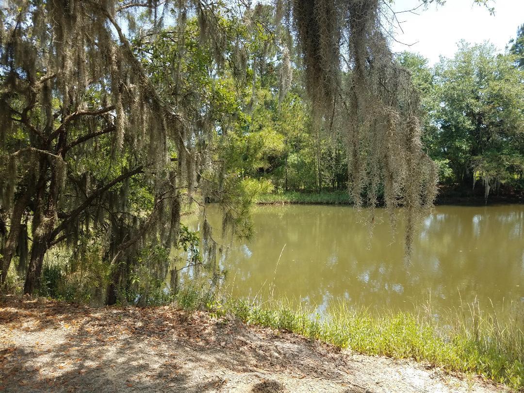 0 Eddy Farm Road Meggett, SC 29449 - Photo 20 of 29 Country living at it's best