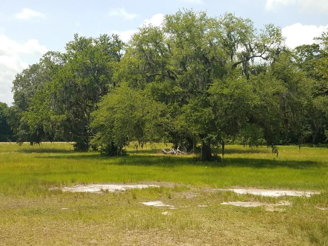 0 Eddy Farm Road Meggett, SC 29449 - Photo 22 of 29 Grands Oaks