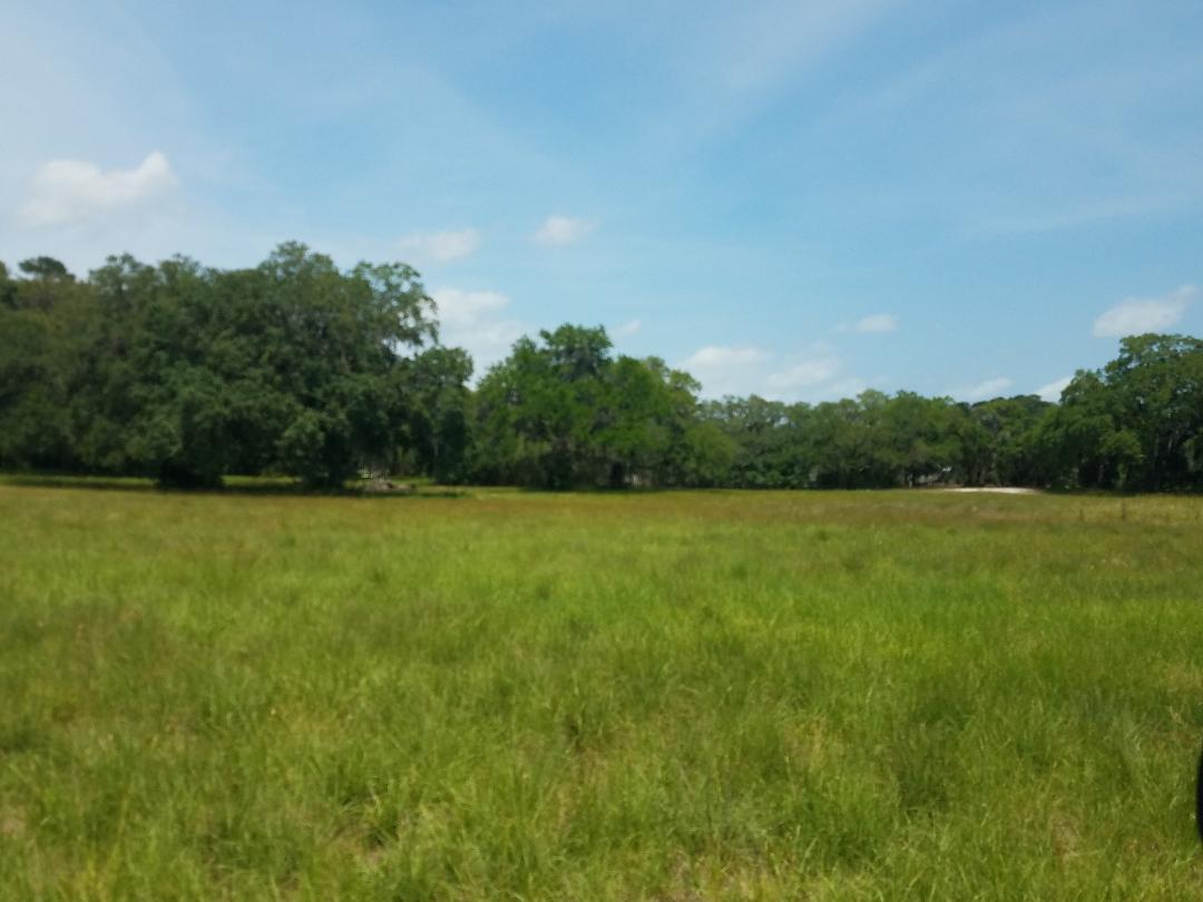 0 Eddy Farm Road Meggett, SC 29449 - Photo 27 of 29 Ready for horses