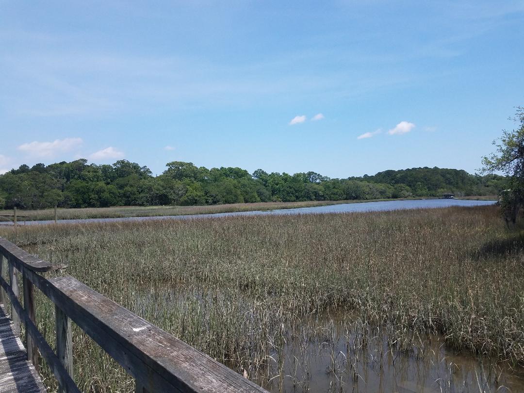 0 Eddy Farm Road Meggett, SC 29449 - Photo 10 of 29 beautiful marsh view