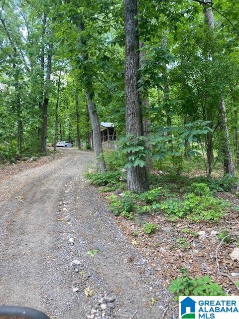 65 Oak Tree Street Cropwell, AL 35054 - Photo 43 of 50