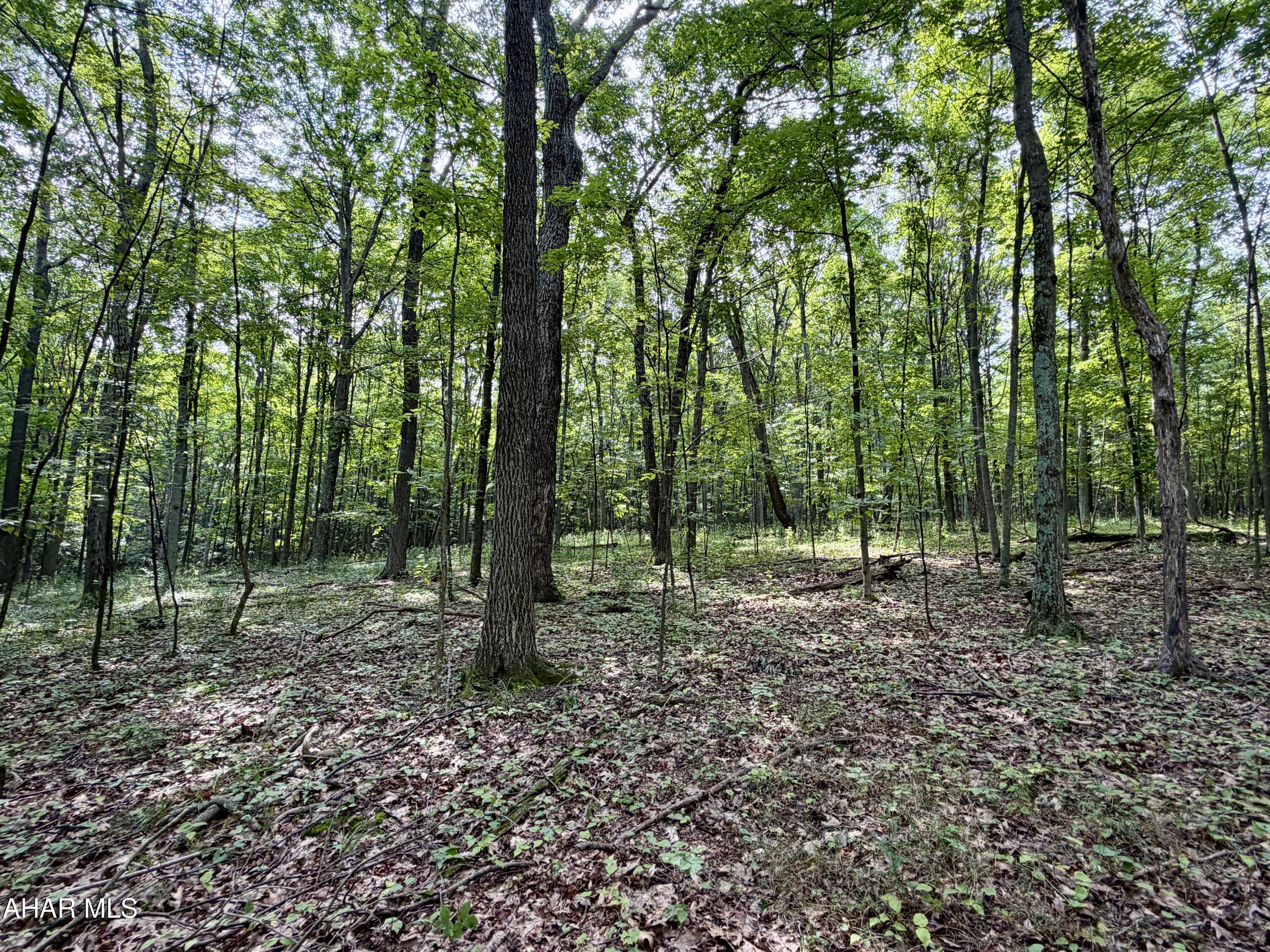 111-ac 111-ac Main Road Bedford, PA 15522 - Photo 20 of 28