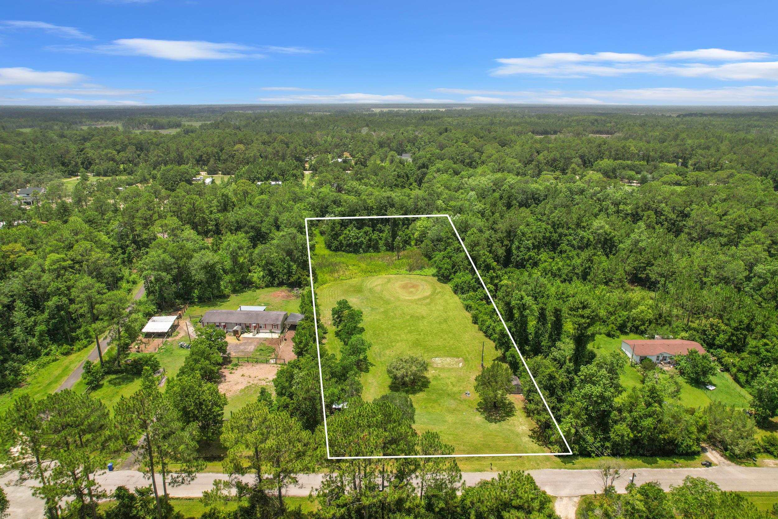 a view of a yard with a plants