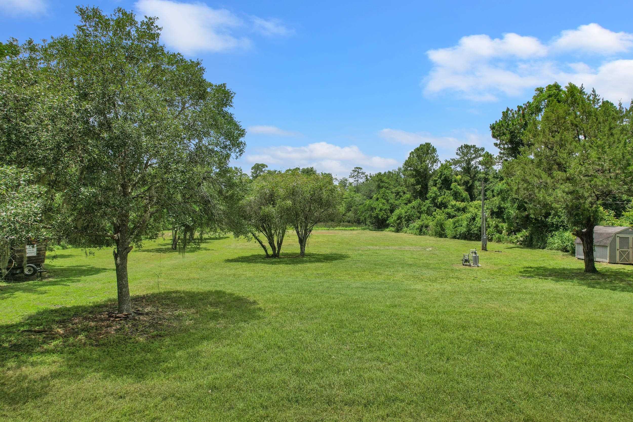 1981 Isherwood Terrace St. Augustine, FL 32092 - Photo 7 of 21 a view of field with tall trees
