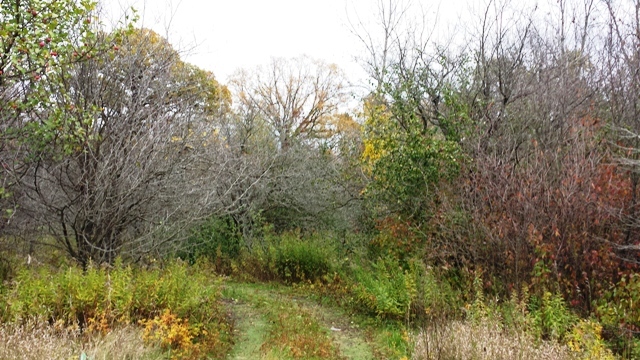 Lt99 North 18th Street Manitowoc, WI 54220 - Photo 2 of 4 land