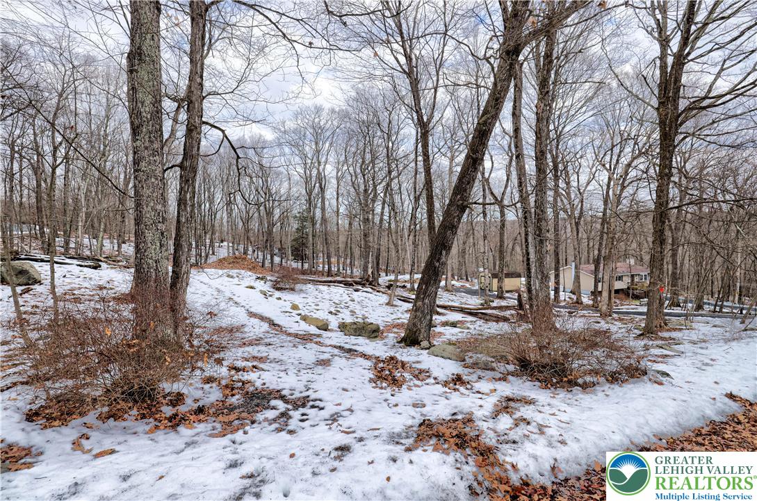 Lot 560 Sparrow Road Bushkill, PA 18324 - Photo 5 of 20 a backyard of a house with trees