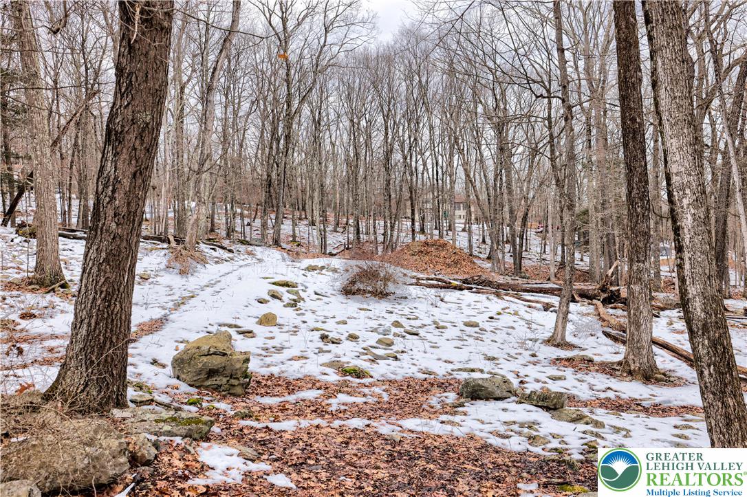 Lot 560 Sparrow Road Bushkill, PA 18324 - Photo 7 of 20 a view of a backyard of the house