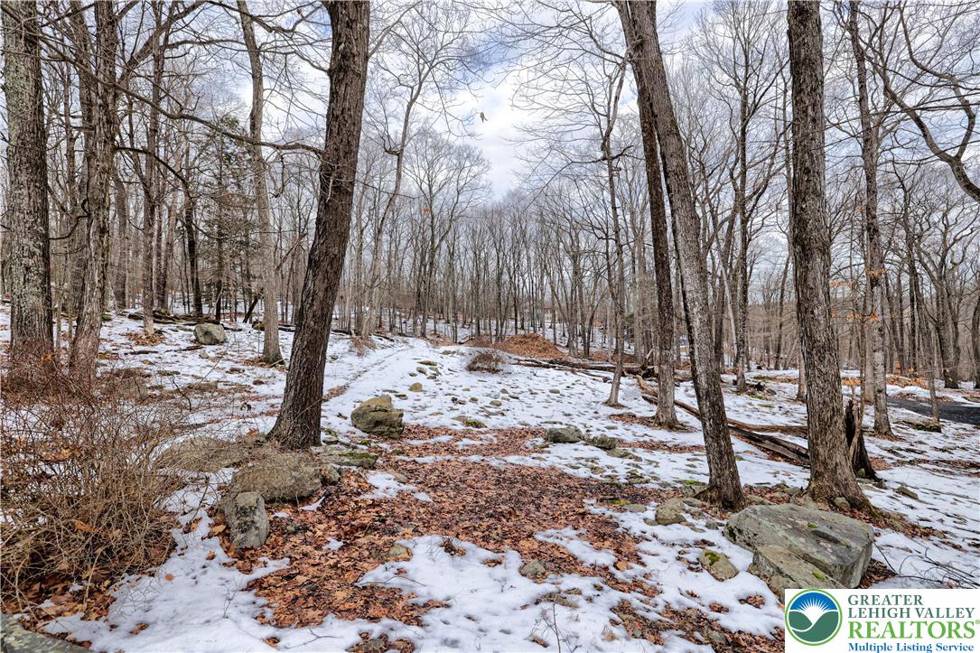 Lot 560 Sparrow Road Bushkill, PA 18324 - Photo 8 of 20 a view of a yard covered in snow