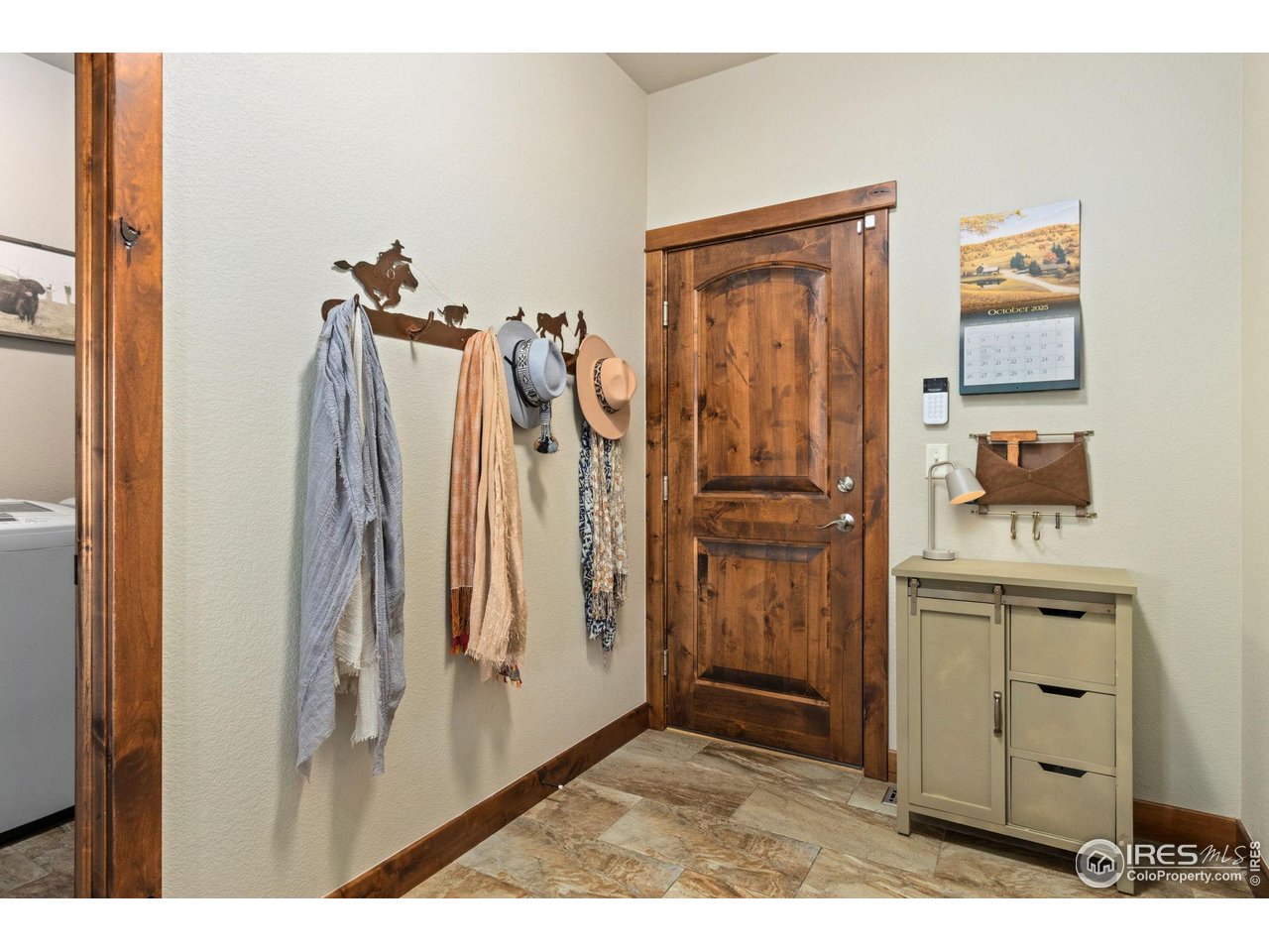 7982 Rising Sun Court Windsor, CO 80550 - Photo 25 of 48 a view of a closet area