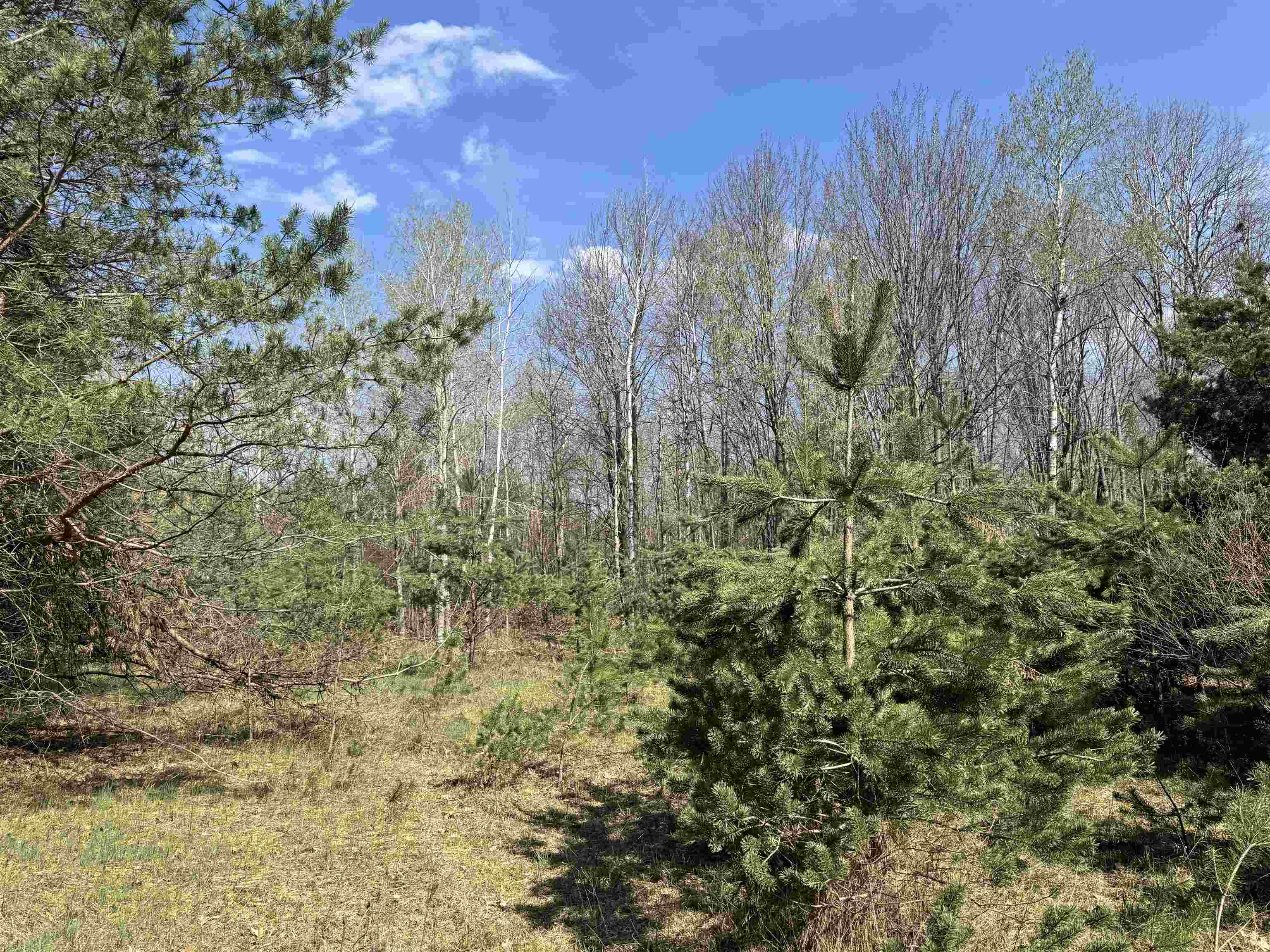 Tbd North Loomis Road Clare, MI 48617 - Photo 2 of 9