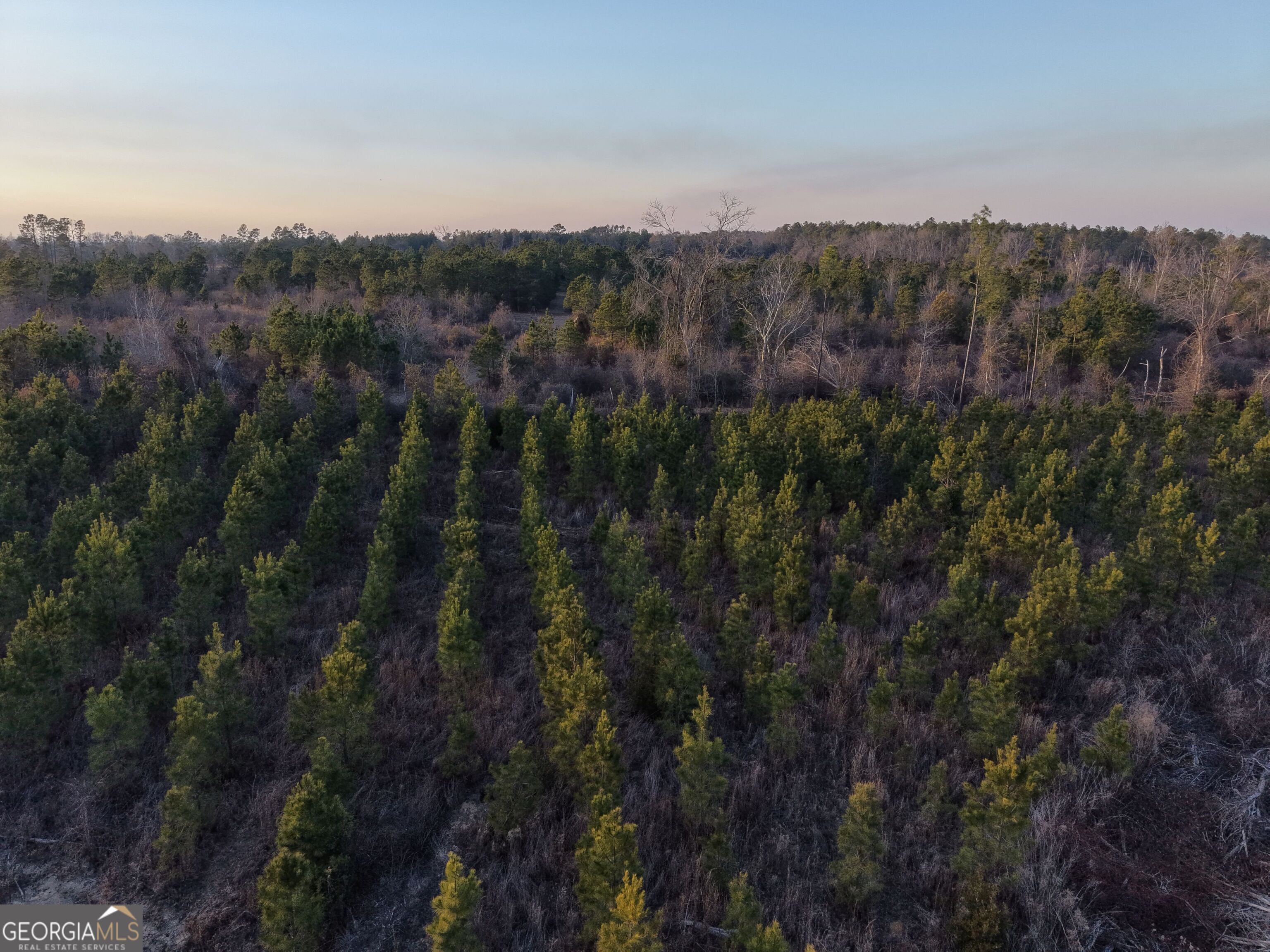 3 Powell School Road Lumber City, GA 31549 - Photo 14 of 26
