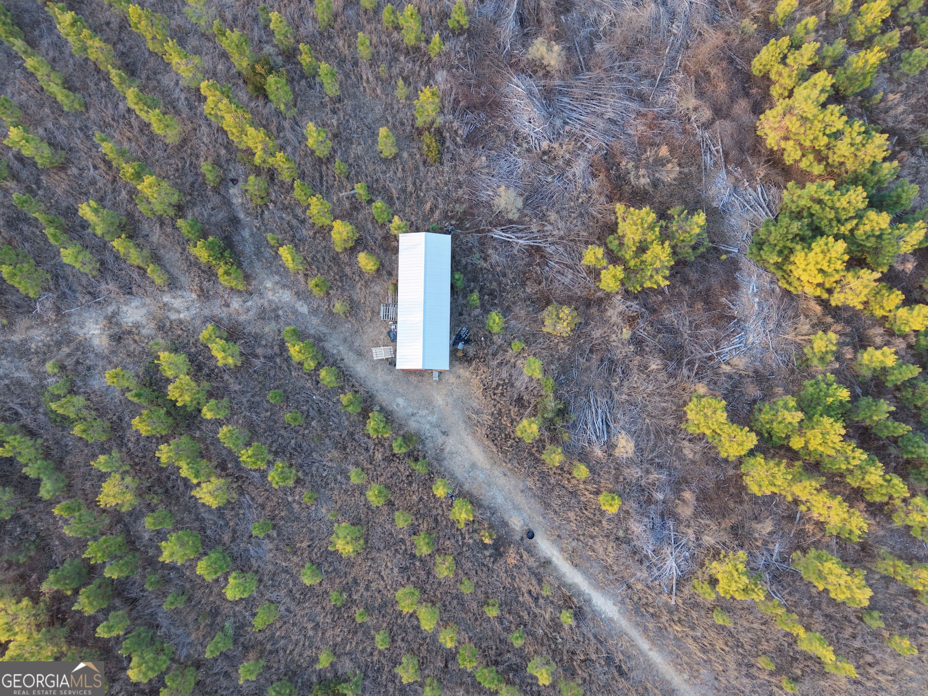 3 Powell School Road Lumber City, GA 31549 - Photo 15 of 26