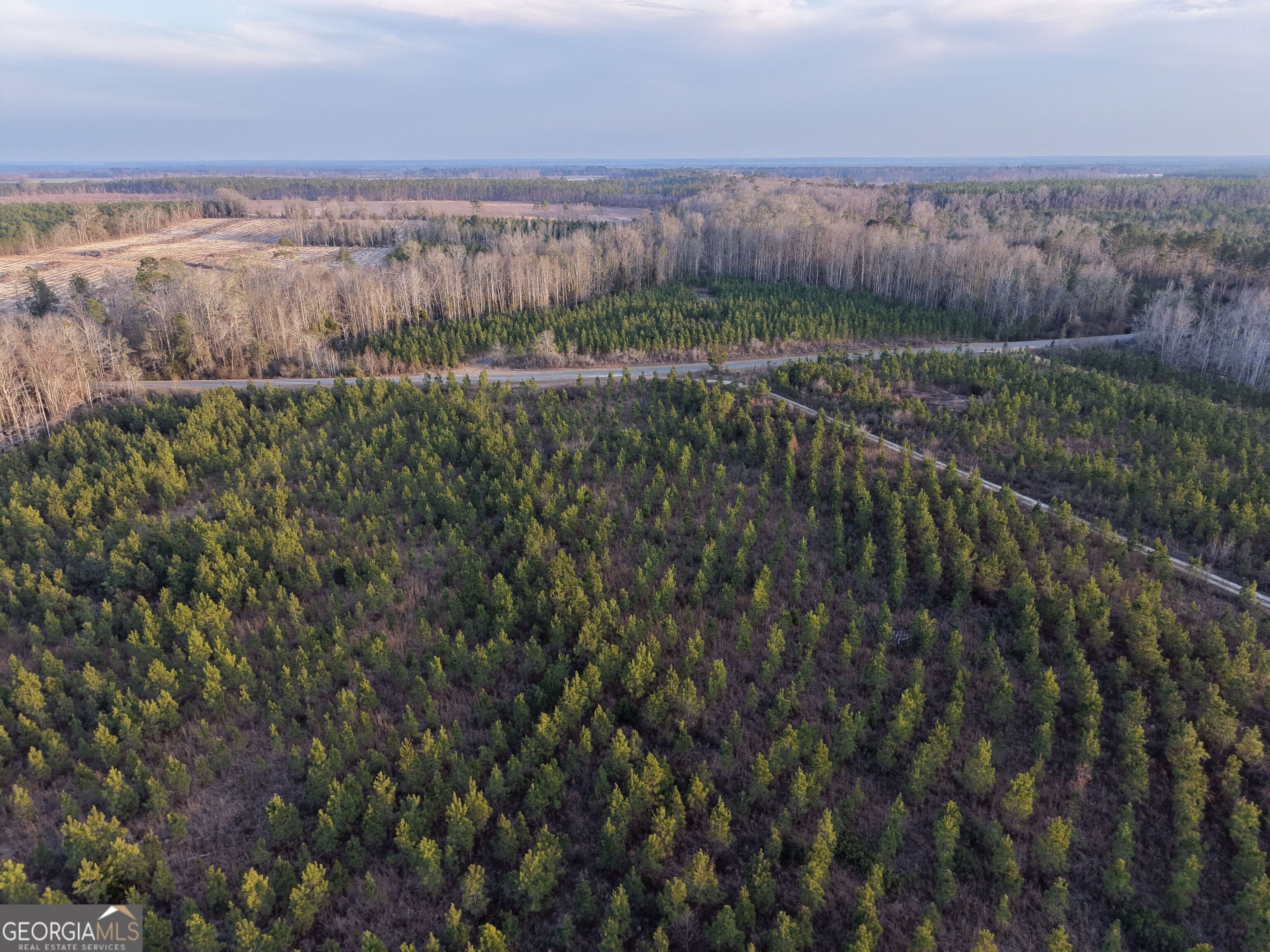 3 Powell School Road Lumber City, GA 31549 - Photo 16 of 26