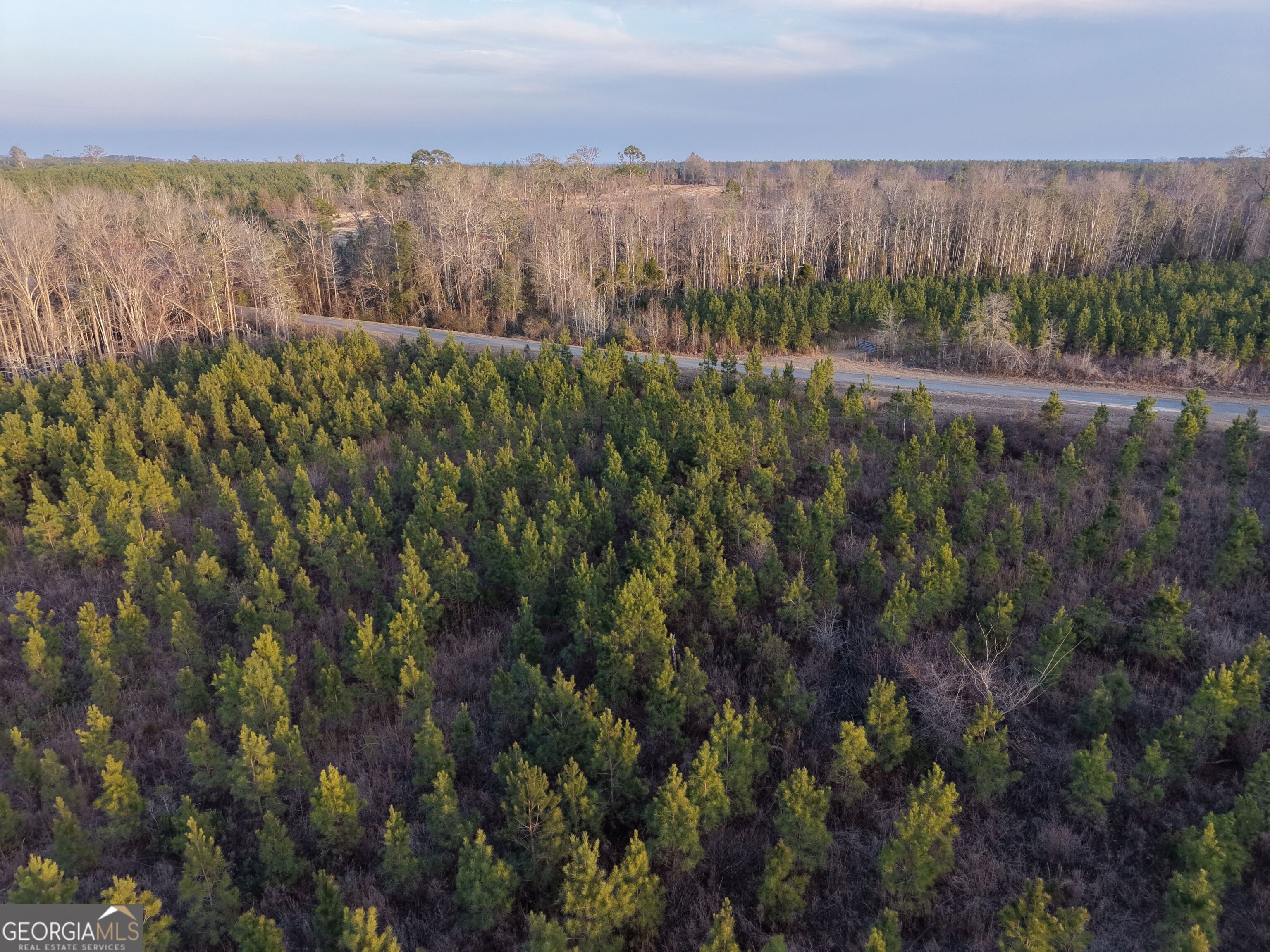 3 Powell School Road Lumber City, GA 31549 - Photo 17 of 26