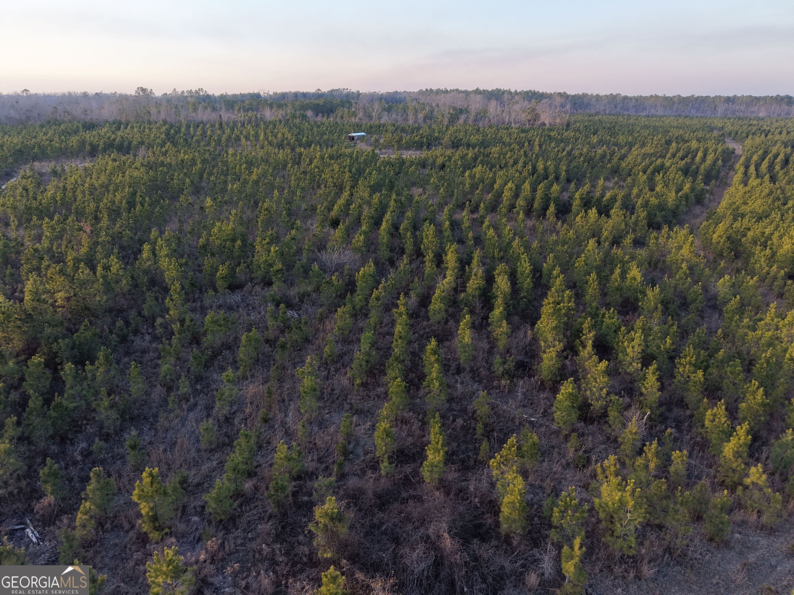 3 Powell School Road Lumber City, GA 31549 - Photo 18 of 26