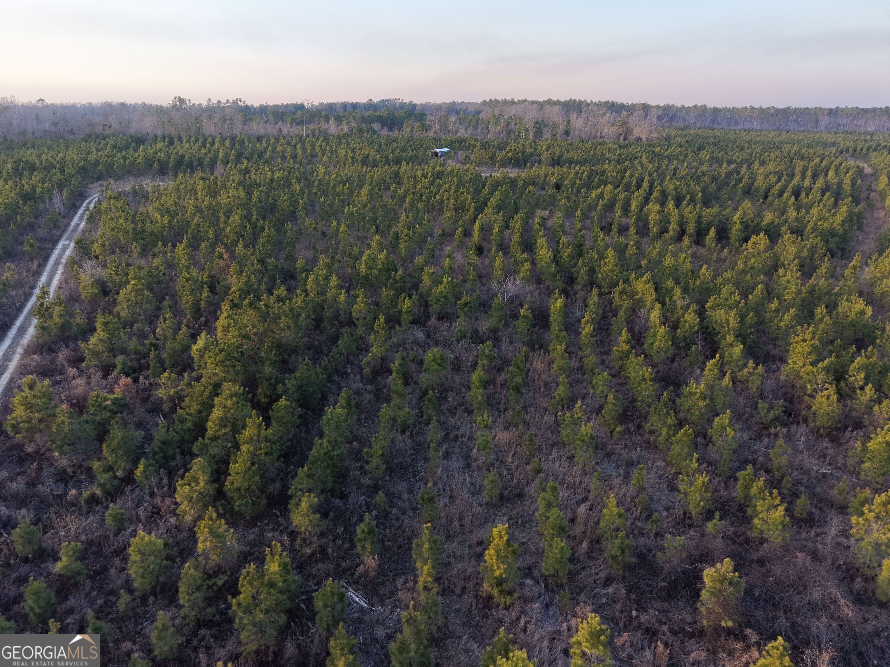 3 Powell School Road Lumber City, GA 31549 - Photo 19 of 26