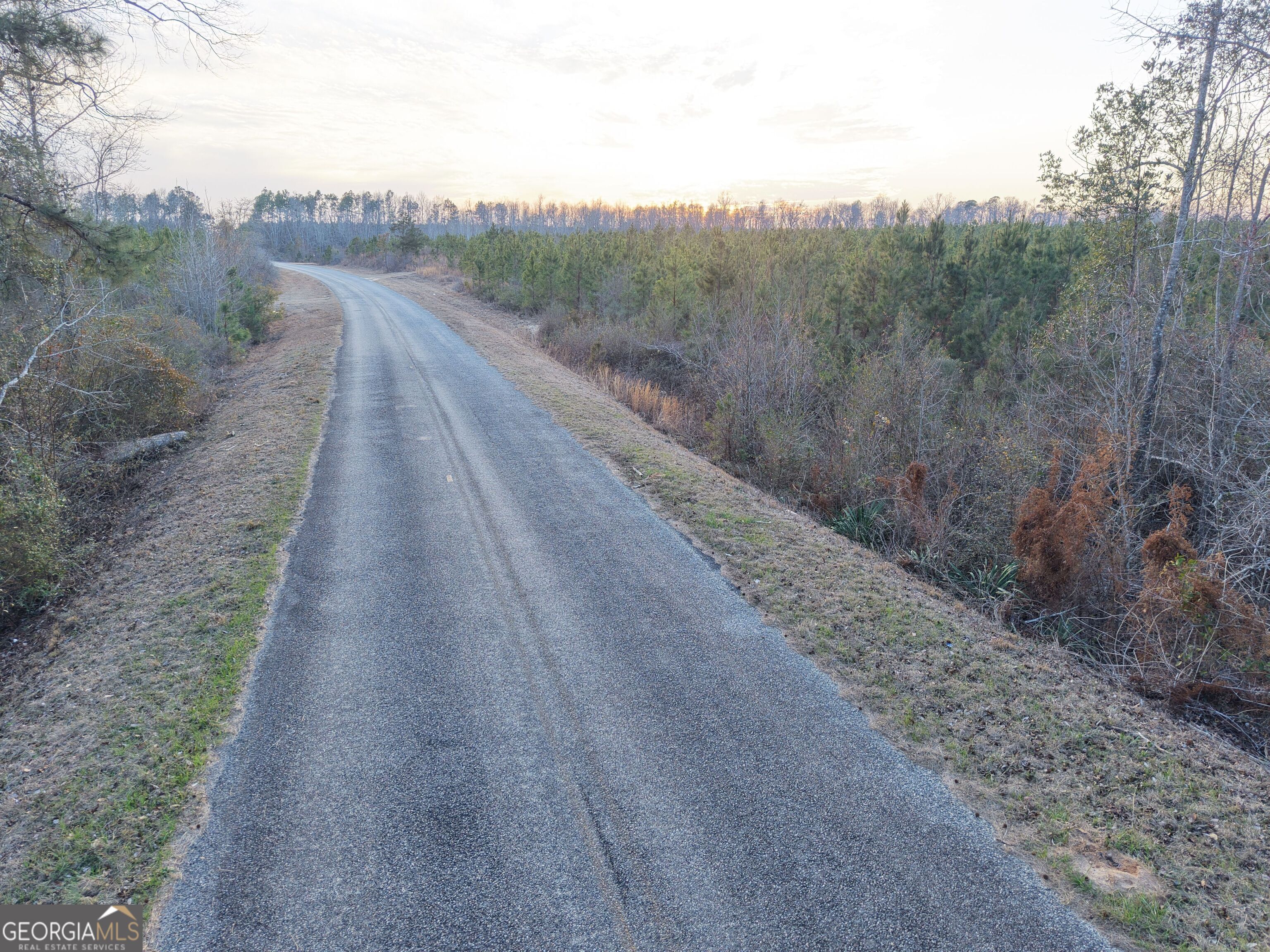 3 Powell School Road Lumber City, GA 31549 - Photo 23 of 26