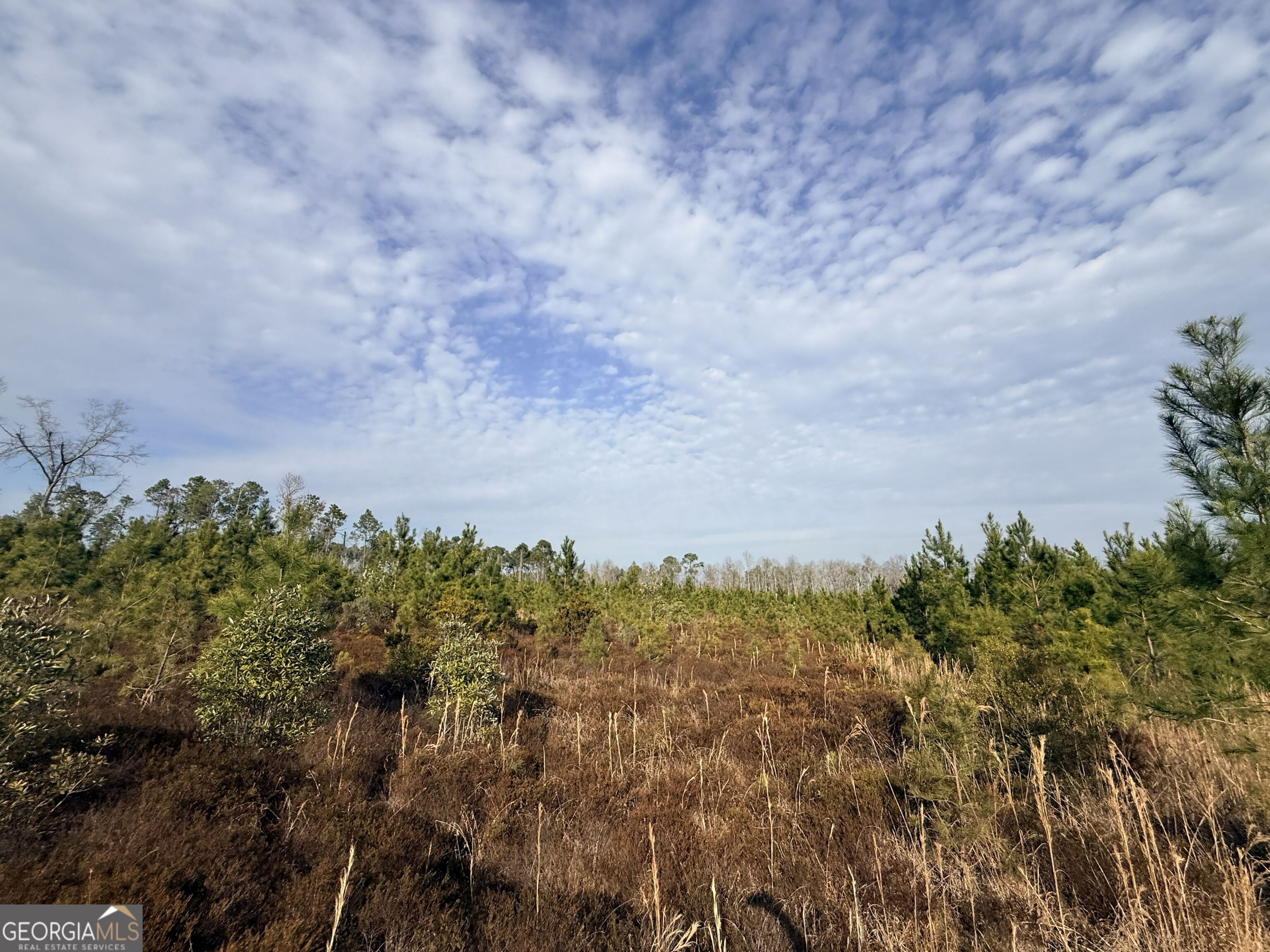 3 Powell School Road Lumber City, GA 31549 - Photo 26 of 26