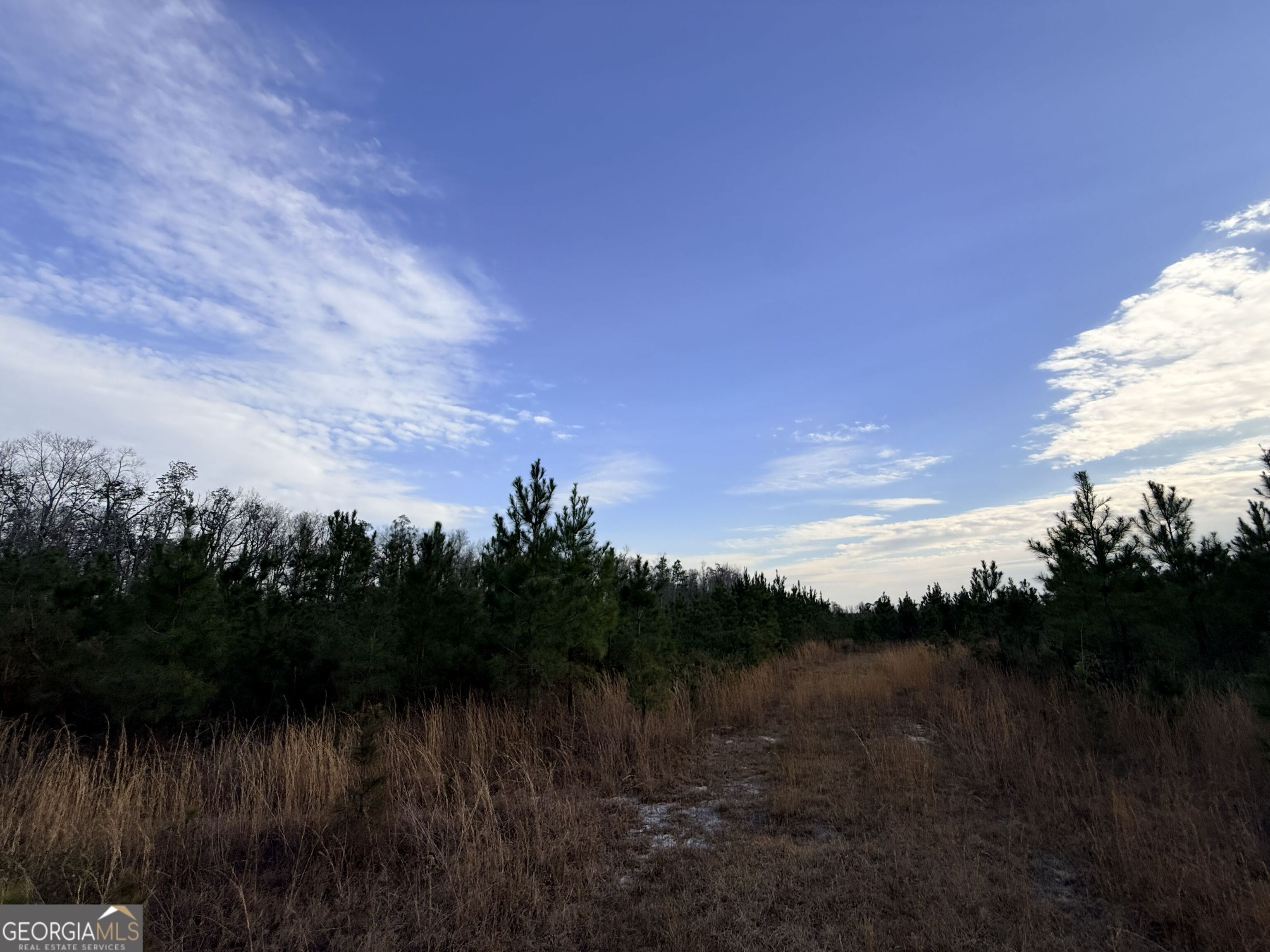 3 Powell School Road Lumber City, GA 31549 - Photo 3 of 26
