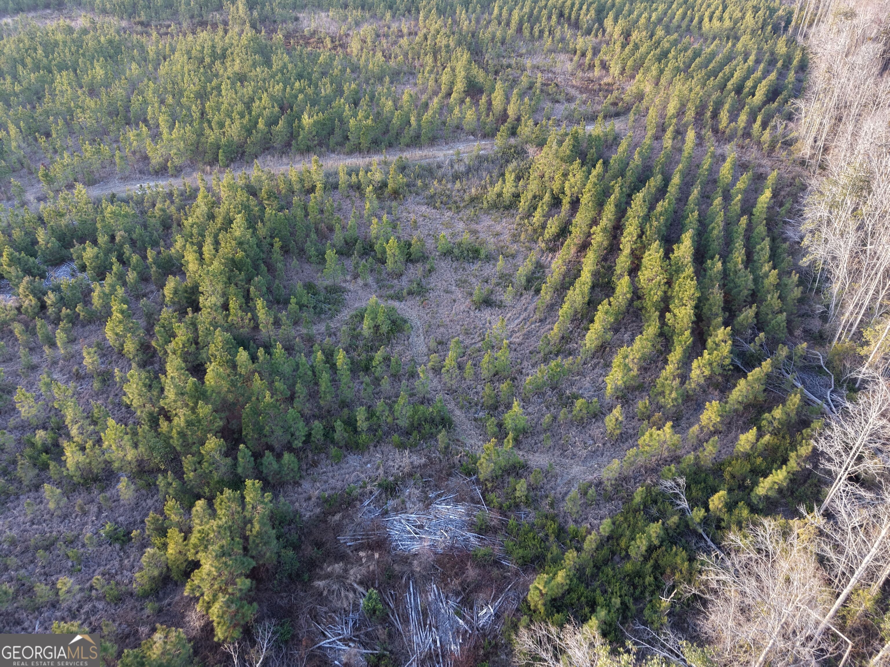 3 Powell School Road Lumber City, GA 31549 - Photo 5 of 26