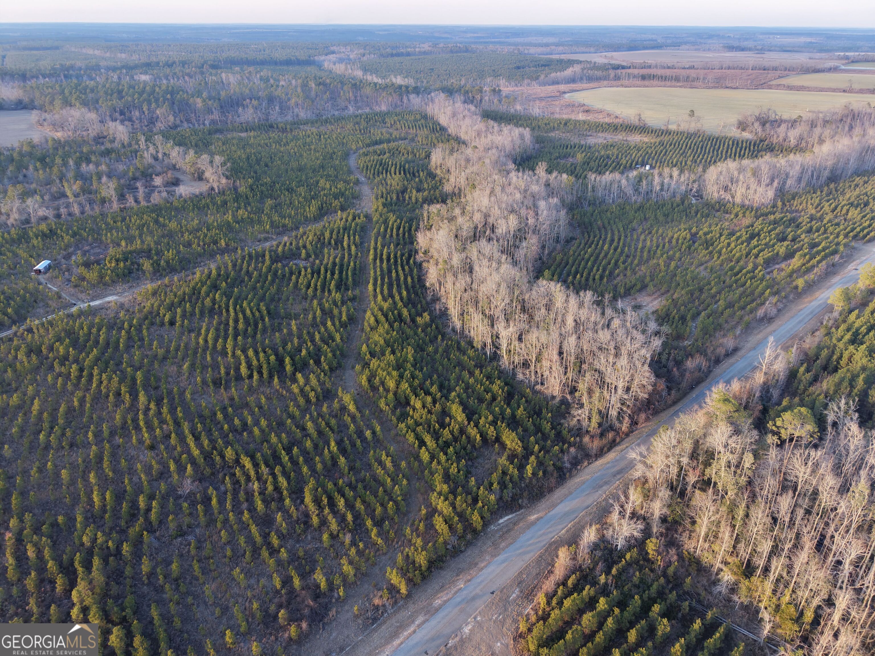 3 Powell School Road Lumber City, GA 31549 - Photo 7 of 26