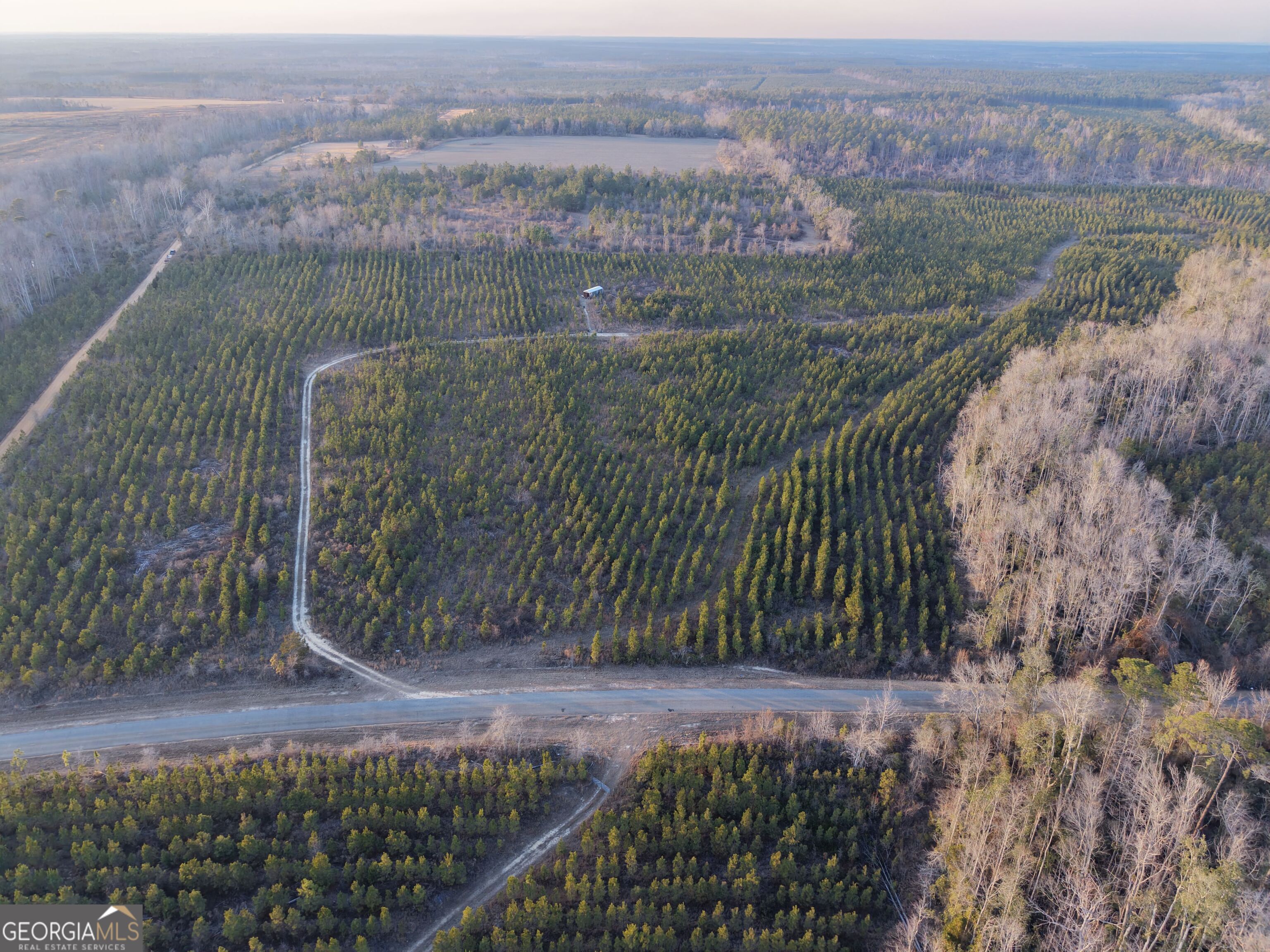 3 Powell School Road Lumber City, GA 31549 - Photo 8 of 26