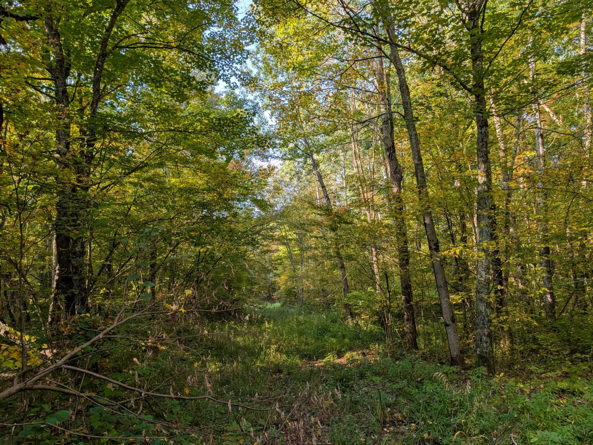 N2060 Meridian Road Ogema, WI 54459 - Photo 21 of 39 Gallery Image 21
