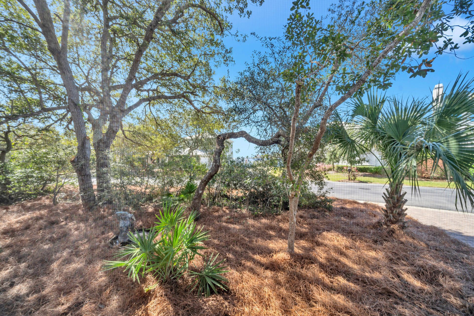69 Lake Pointe Drive Santa Rosa Beach, FL 32459 - Photo 45 of 60 a view of a yard with plants and trees