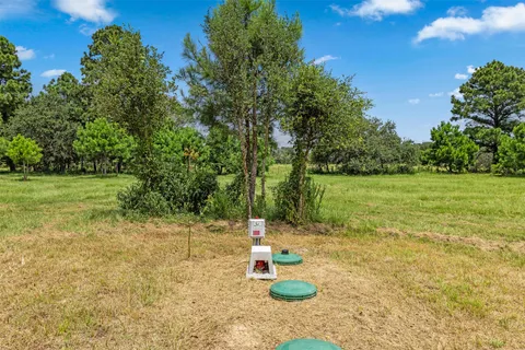 a view of a field with of trees