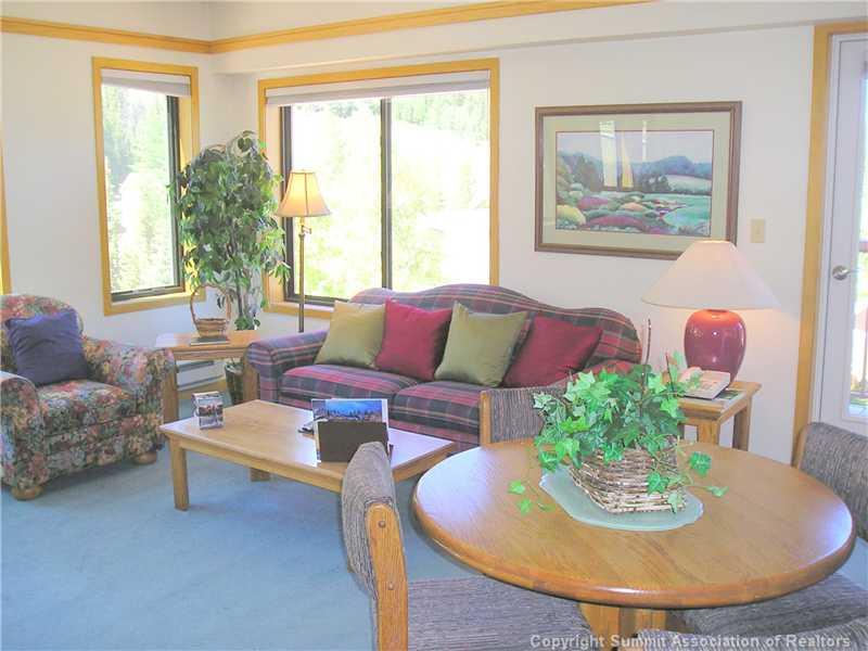 1205 West Keystone Road, Unit 793 Keystone, CO 80435 - Photo 2 of 16 Gallery Image 2