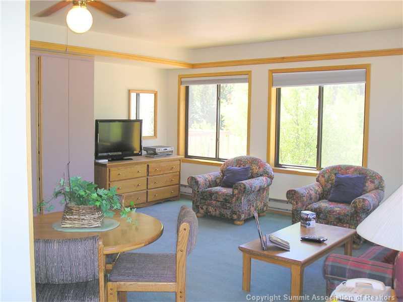 1205 West Keystone Road, Unit 793 Keystone, CO 80435 - Photo 3 of 16 Gallery Image 3