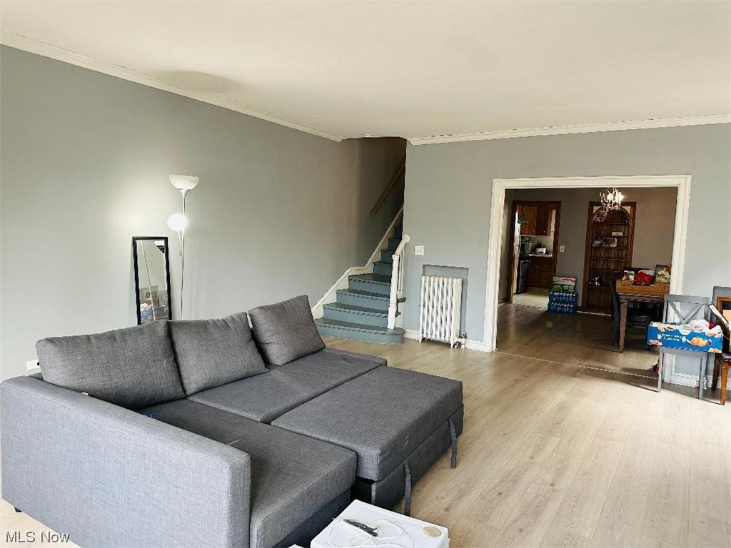 Living room featuring crown molding, a chandelier, radiator, and light hardwood / wood-style flooring