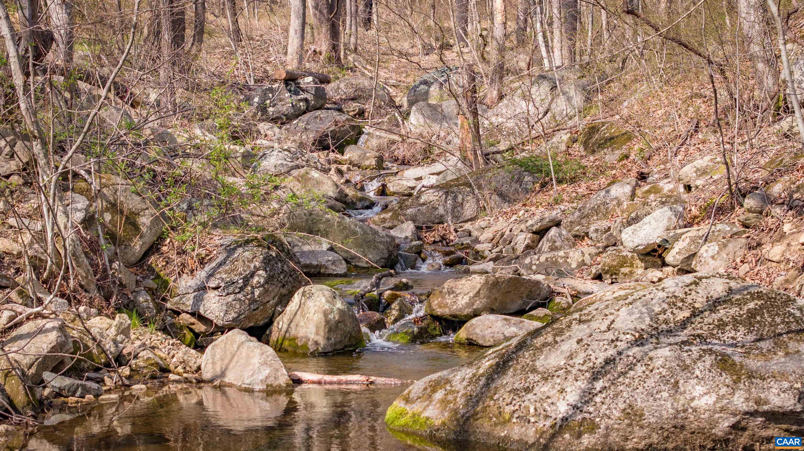 4893 Weakley Hollow Road Syria, VA 22743 - Photo 18 of 25 Stream on property
