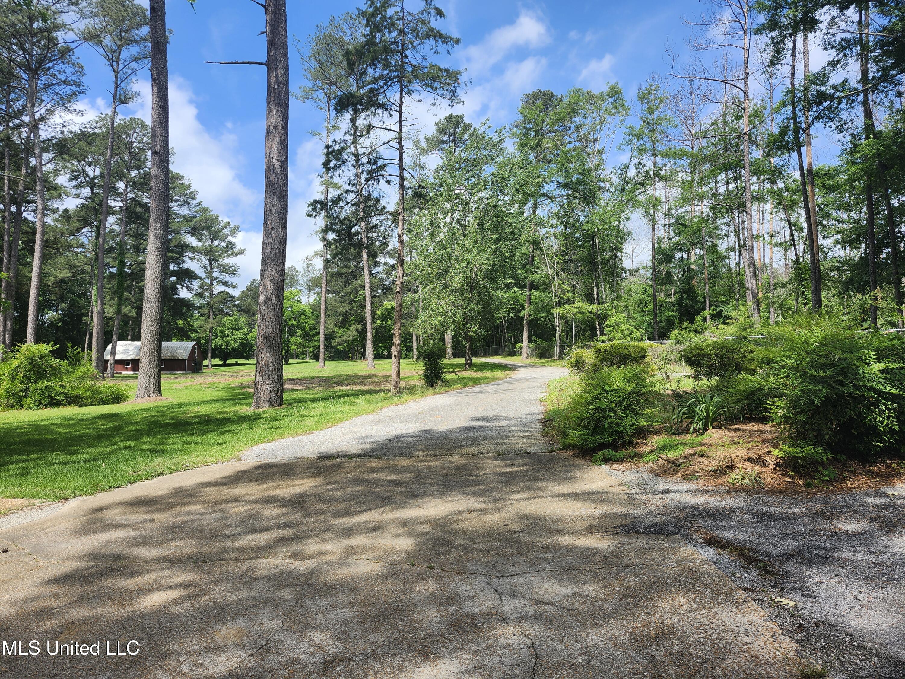 3830 Forest Hill Road Jackson, MS 39212 - Photo 8 of 49 Drive Way 2