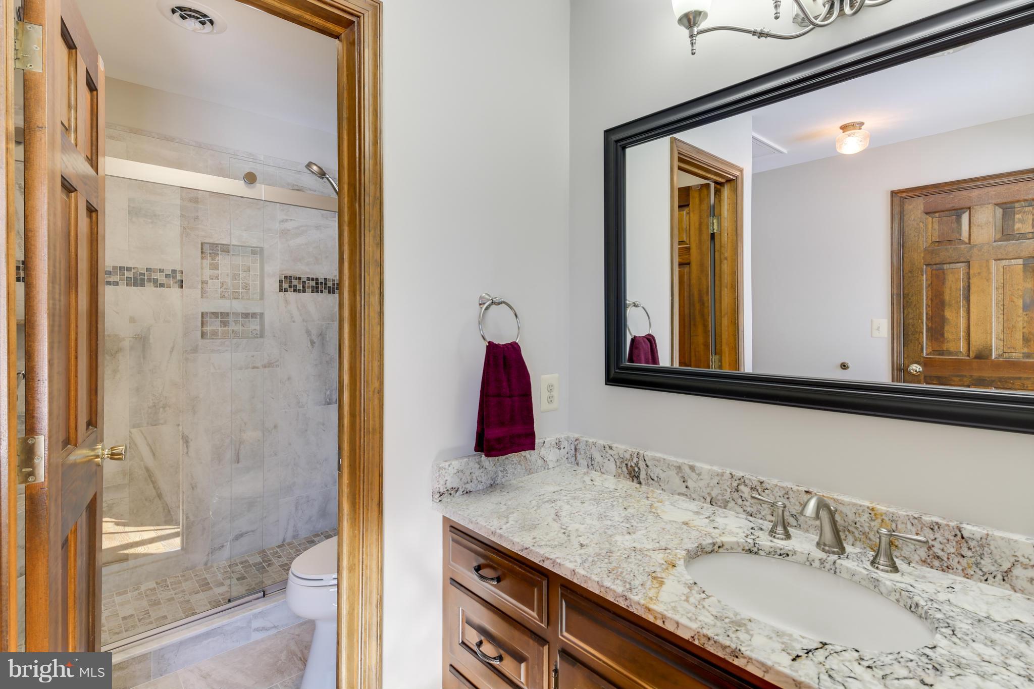 4329 Bartholows Road Mount Airy, MD 21771 - Photo 21 of 29 Bath (Master)