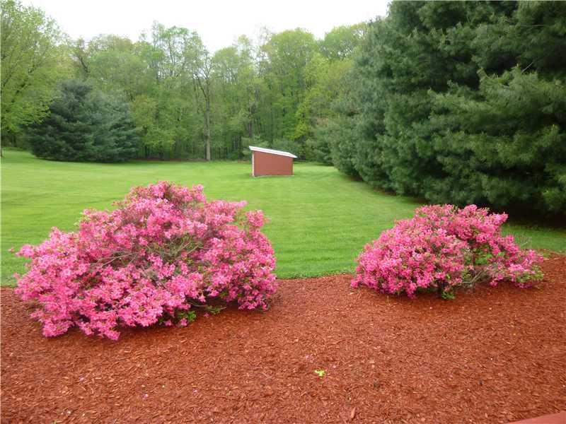 764 North Pike Road Cabot, PA 16023 - Photo 8 of 10 Other.