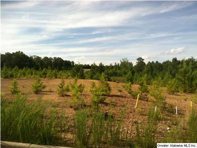 Old Acton Road, Unit 55 Moody, AL 35004 - Photo 2 of 9