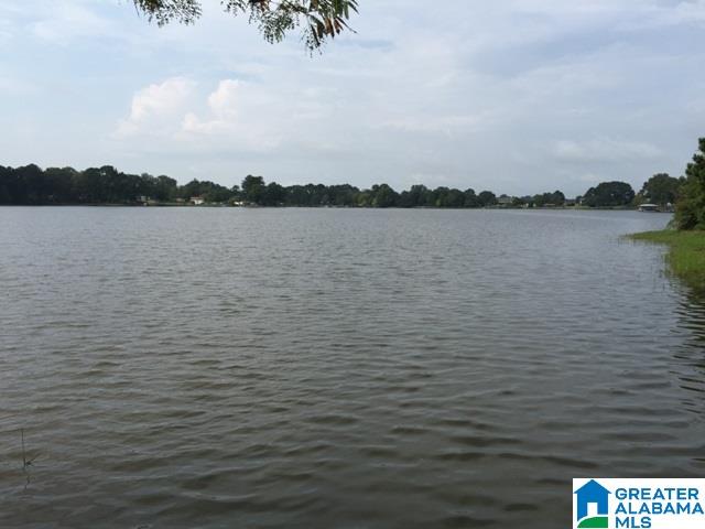 24 Seddon Point Pell City, AL 35128 - Photo 38 of 43