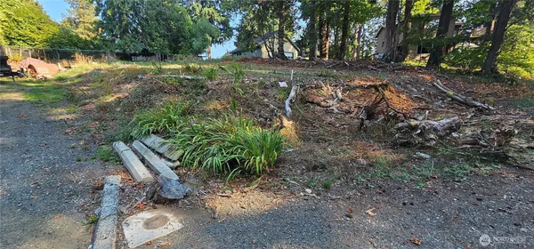 a view of a yard with plants and trees