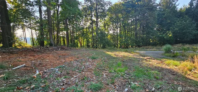 a view of outdoor space with trees all around