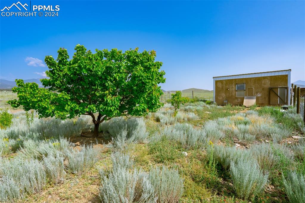 54309 County Rd LL56 Villa Grove, CO 81155 - Photo 33 of 43 a backyard of a house with lots of green space